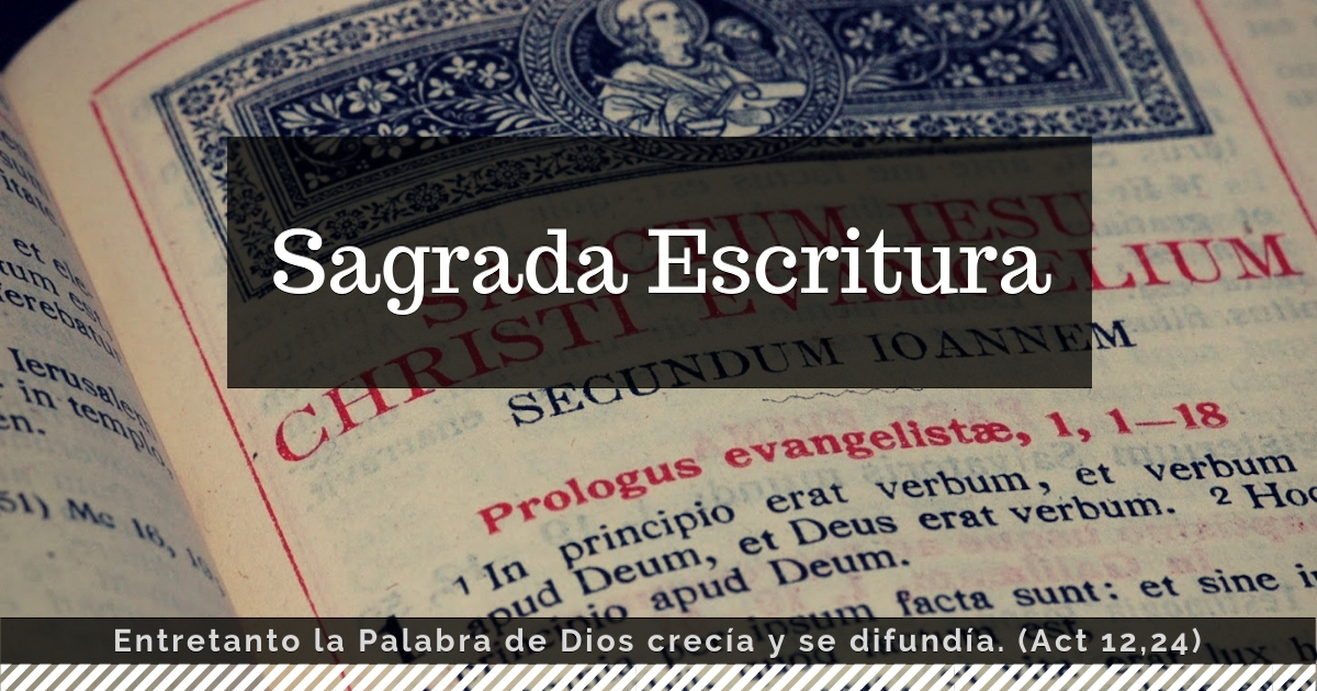 Salmos 91,  - SagradaEscritura